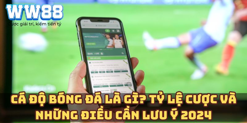 Cá độ bóng đá là gì? Tỷ lệ cược và những điều cần lưu ý 2024