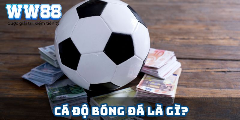 Cá độ bóng đá là gì?