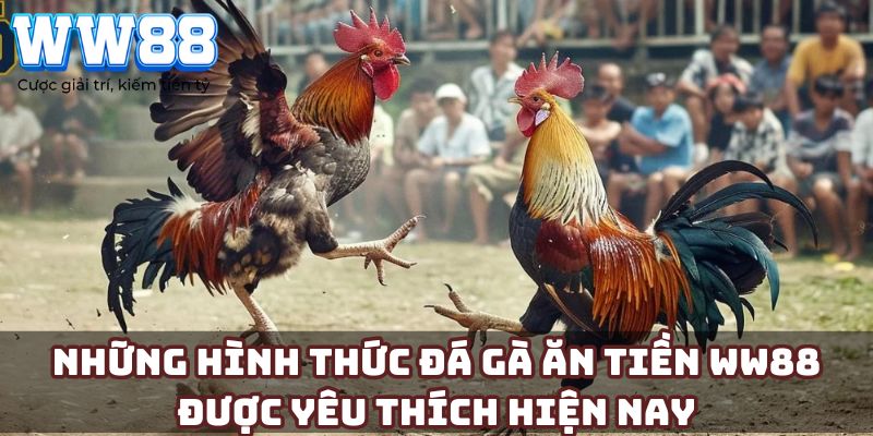 Những hình thức đá gà ăn tiền WW88 được yêu thích hiện nay