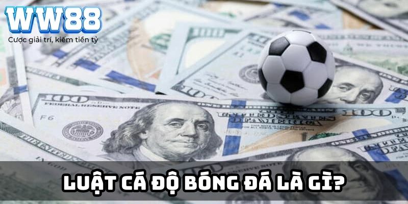 Luật cá độ bóng đá là gì?