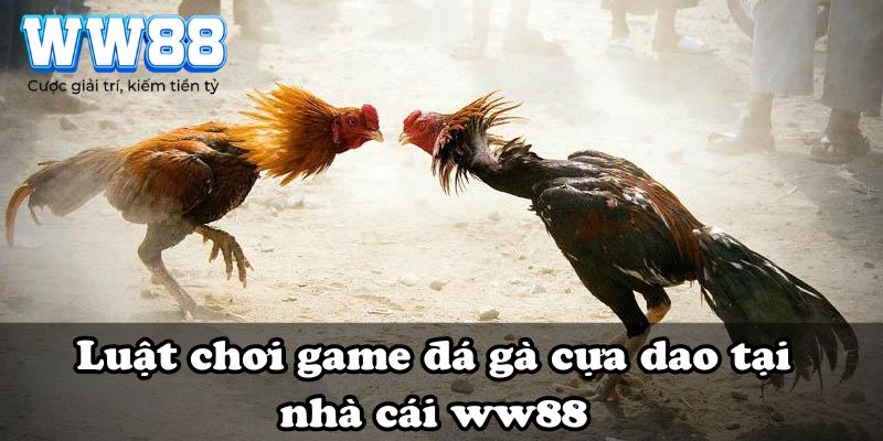 Luật chơi game đá gà cựa dao tại nhà cái WW88