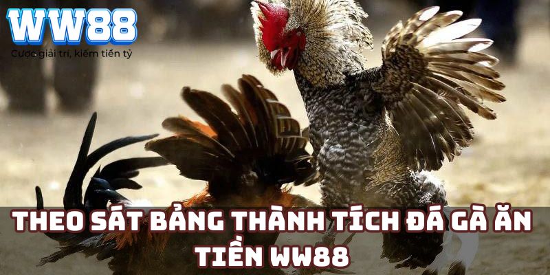 Theo sát bảng thành tích đá gà ăn tiền WW88