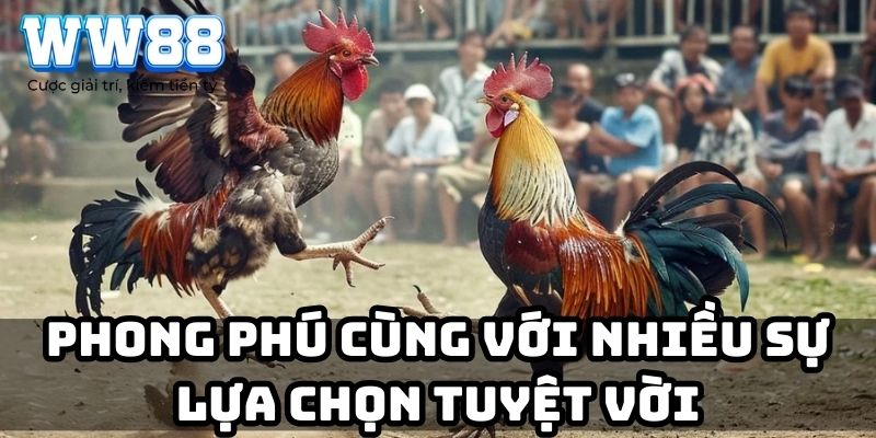 Phong phú cùng với nhiều sự lựa chọn tuyệt vời