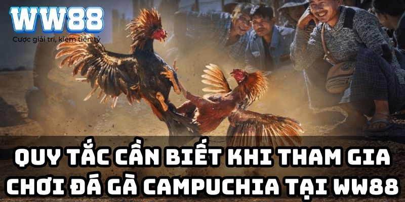 Quy tắc cần biết khi tham gia chơi đá gà Campuchia tại WW88