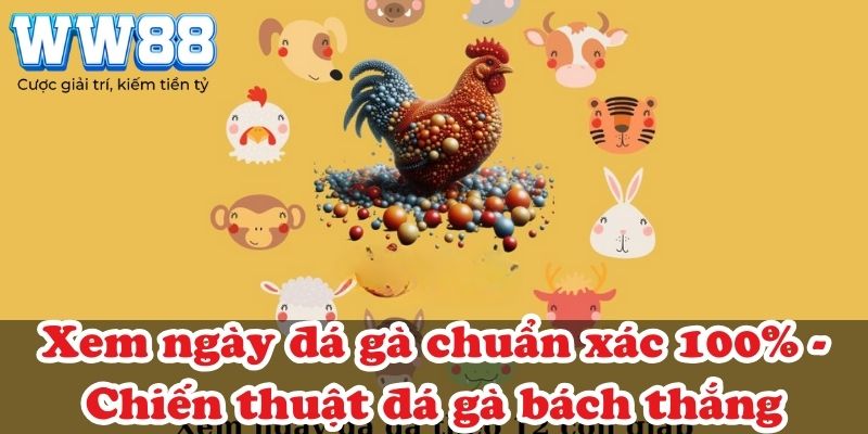 Xem ngày đá gà chuẩn xác 100% - Chiến thuật đá gà bách thắng