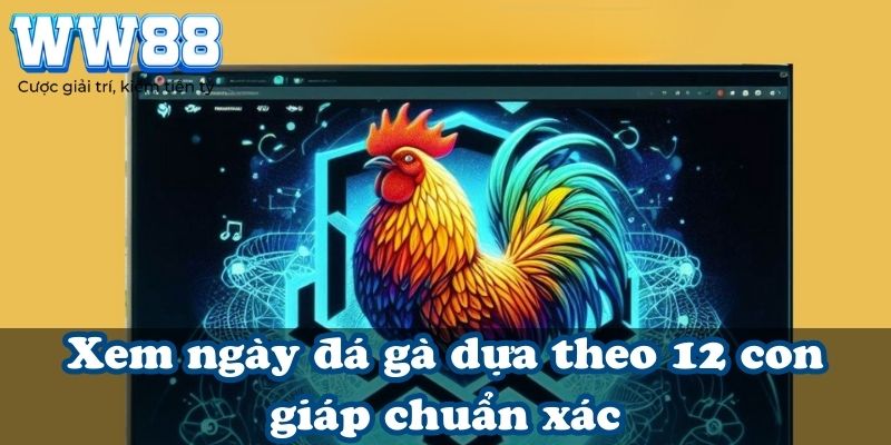 Xem ngày đá gà dựa theo 12 con giáp chuẩn xác