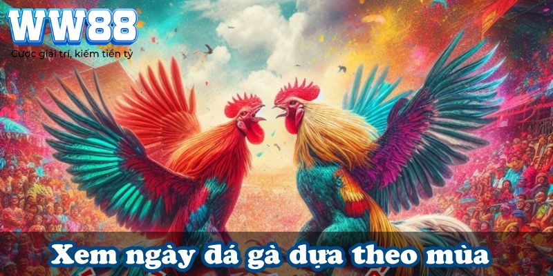 Xem ngày đá gà dựa theo mùa